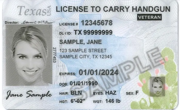 License to carry handgun